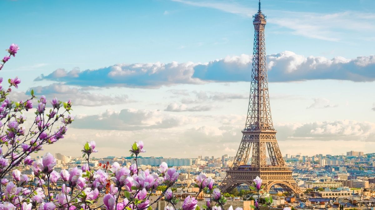 97 Paris Captions For Instagram - Puns, Quotes & Short Captions -  Traveller's Elixir