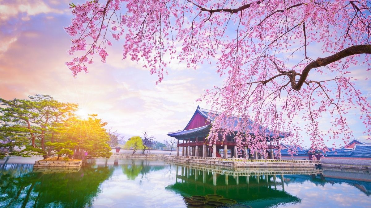 best South Korea Instagram captions