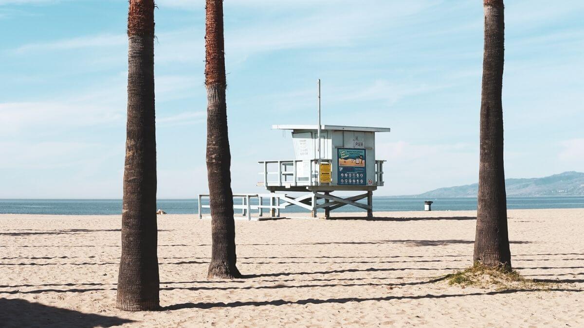 Venice Beach vs Manhattan Beach - featured image