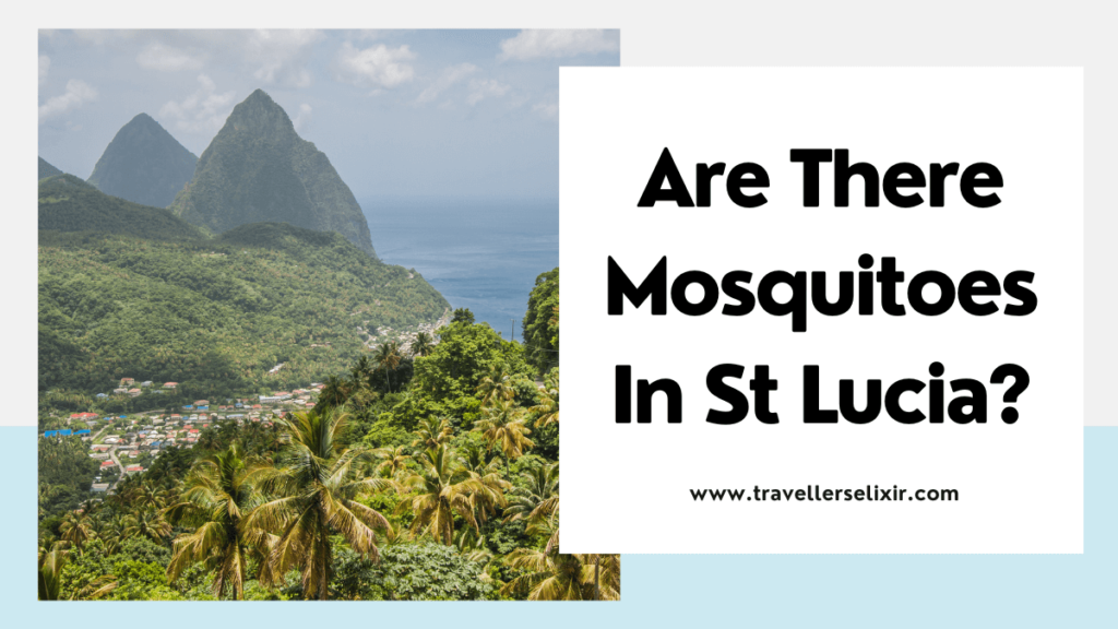 mosquitoes in st lucia - featured image