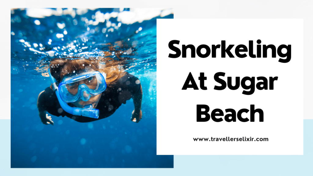 Sugar Beach St Lucia snorkeling - featured image
