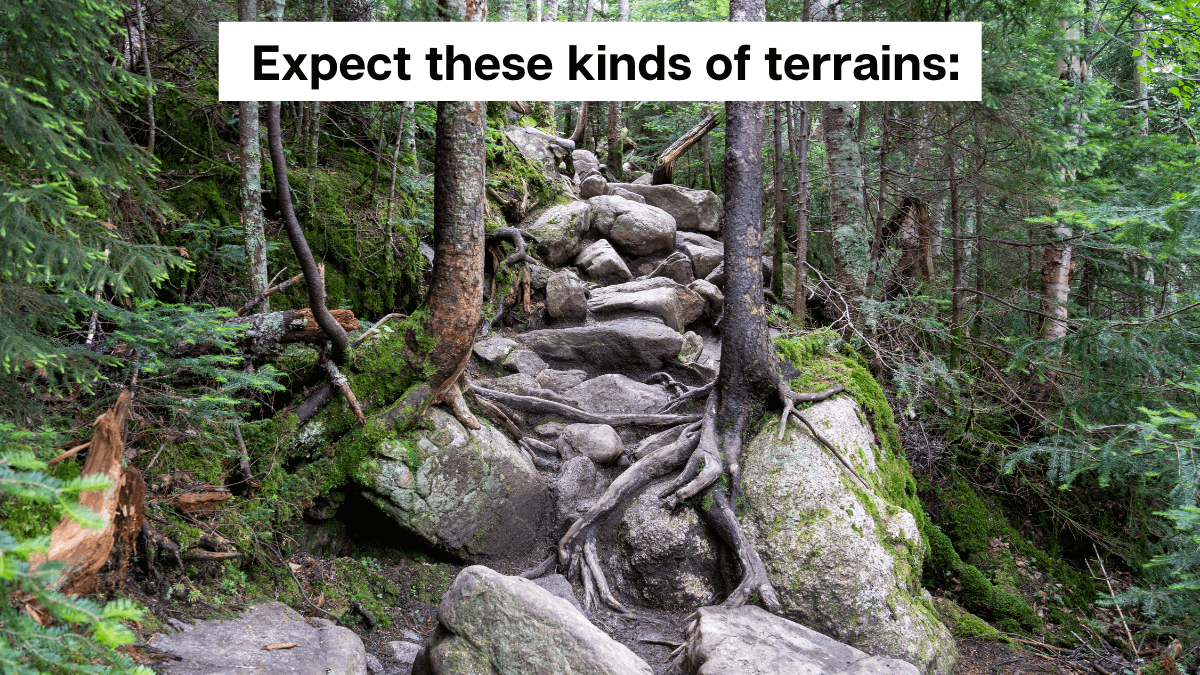 Gros Piton Hike What To Expect, Difficulty, Cost & More