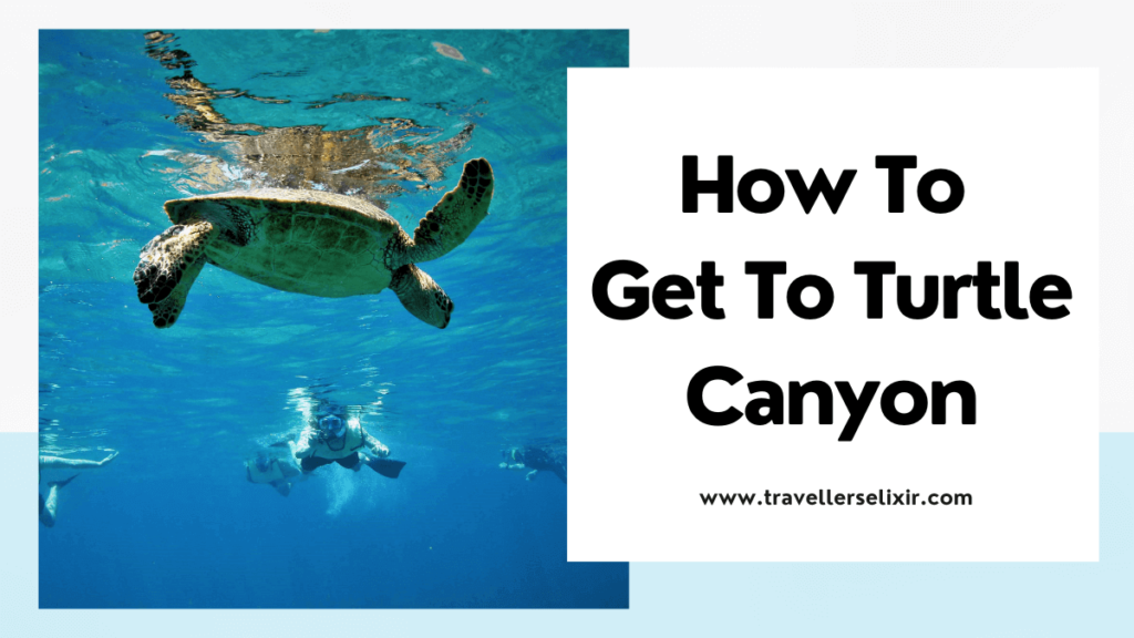 How to get to Turtle Canyon - featured image