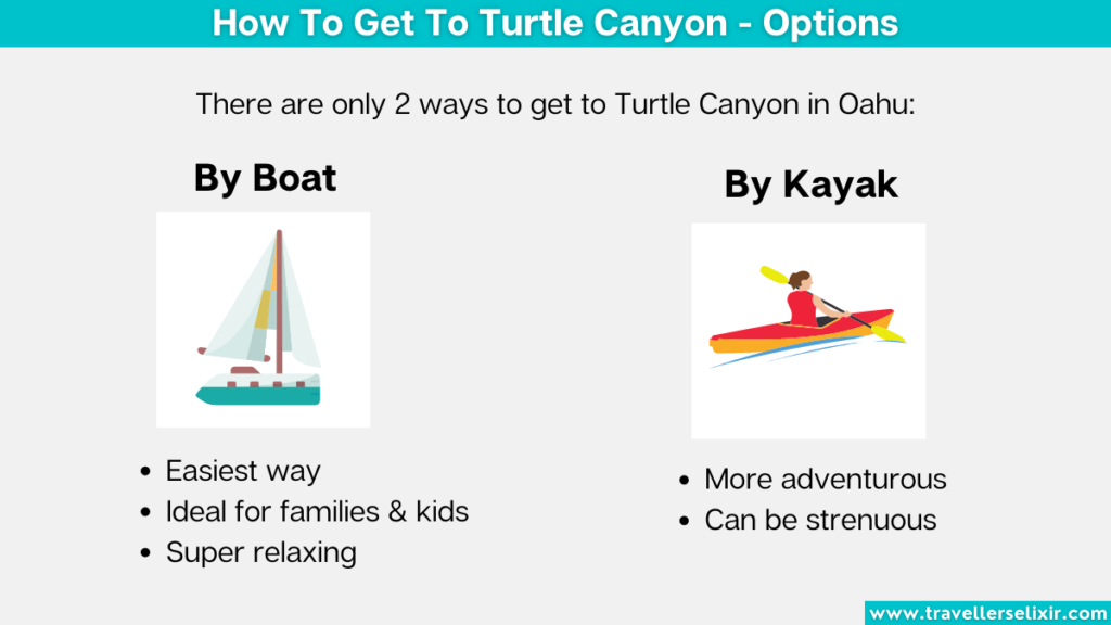 Graphic showing the different options of how to get to Turtle Canyon.