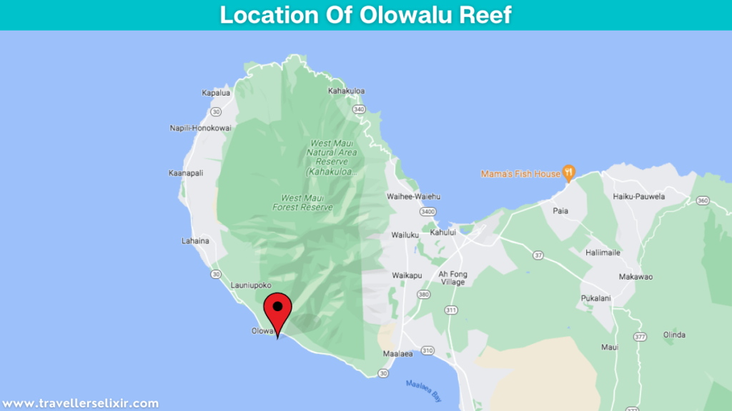 Map showing the location of Olowalu Reef.