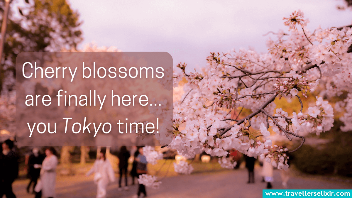 110 Japan Captions For Instagram Puns, Quotes & Short Captions