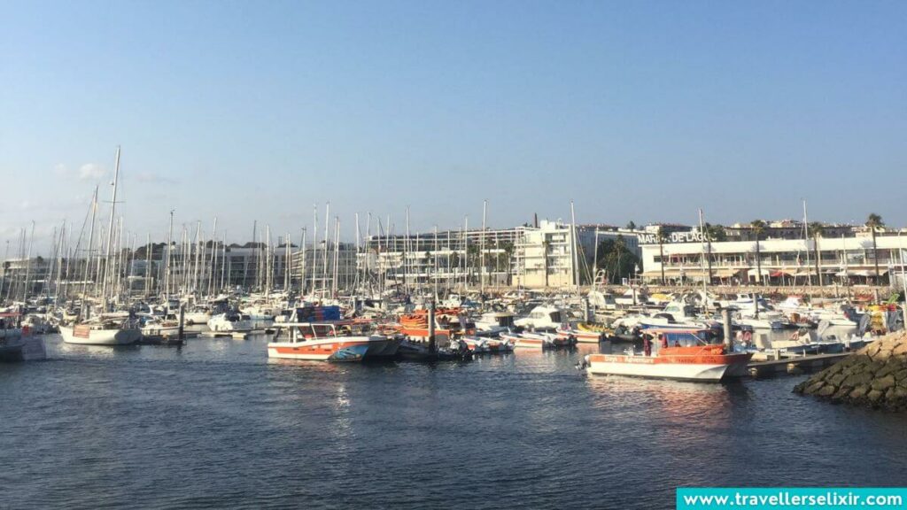 The marina in Lagos, Portugal.