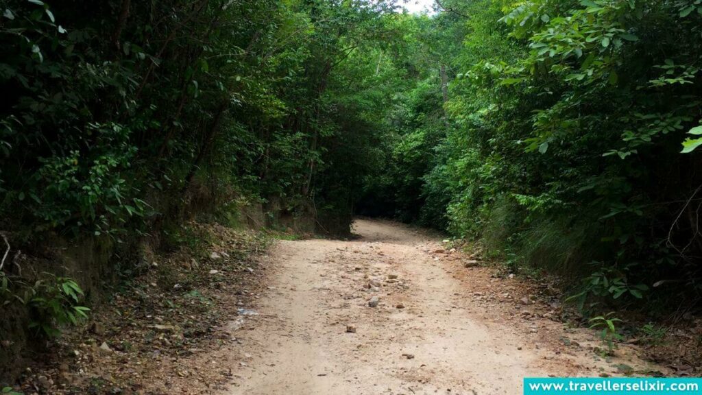 Remote dirt track in Koh Samet.