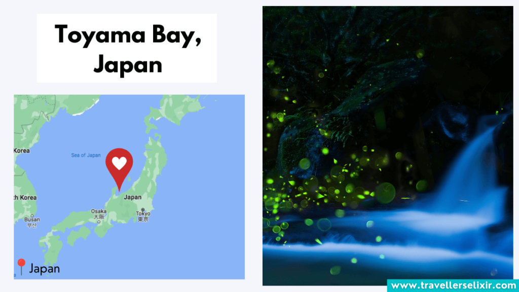 Map showing location of Toyama Bay in Japan and bioluminescence.