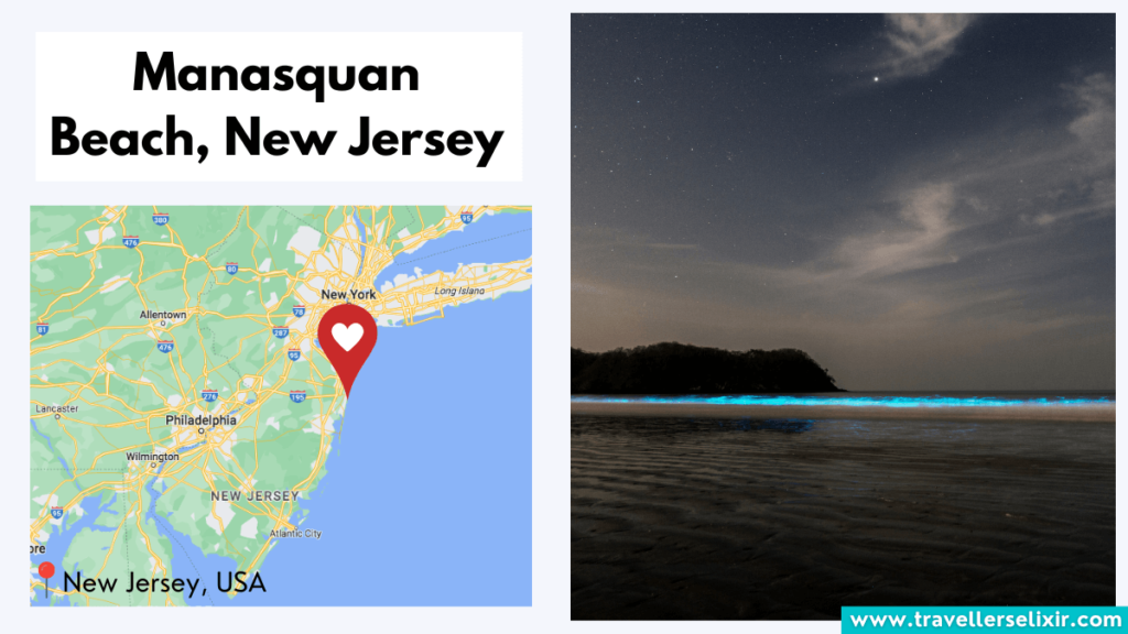 Map showing location of Manasquan Beach in New Jersey and bioluminescence.