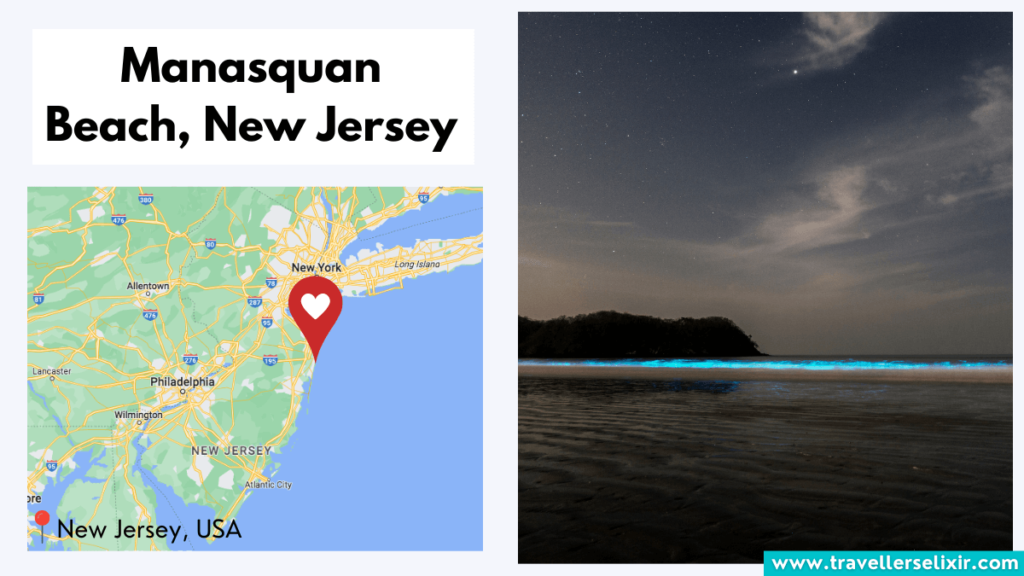 13 Best Bioluminescent Beaches In The World
