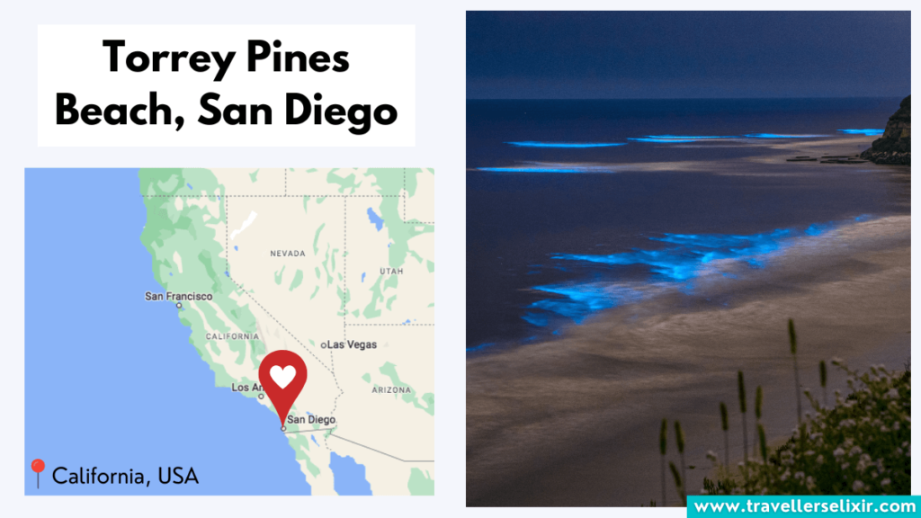 Map showing location of Torrey Pines Beach in San Diego and bioluminescence.