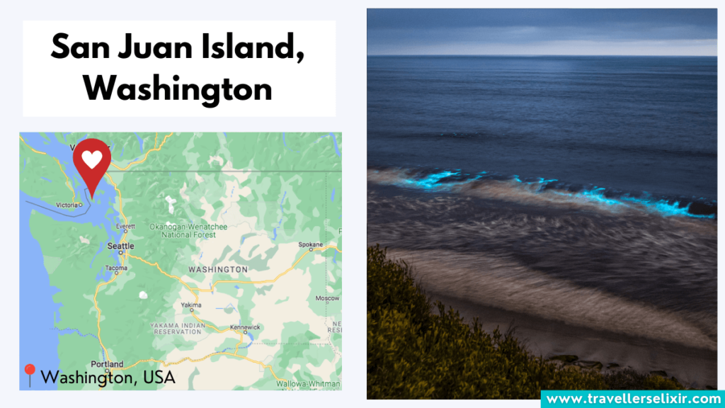 Map showing location of San Juan Island in Washington and bioluminescence.
