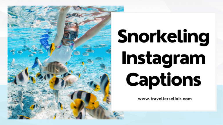 131 Snorkeling Captions For Instagram - Puns, Quotes & Short Captions ...