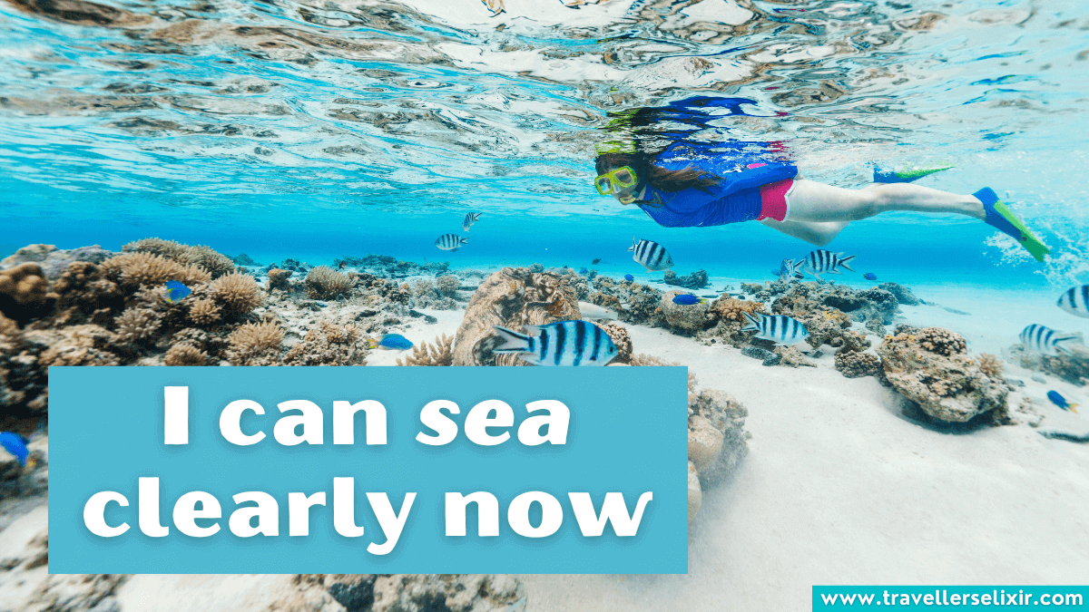 131 Snorkeling Captions For Instagram Puns, Quotes & Short Captions