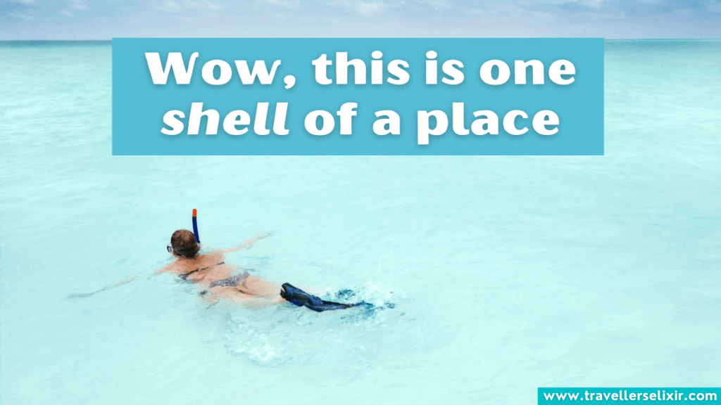 Funny snorkeling pun - wow, this is one shell of a place.