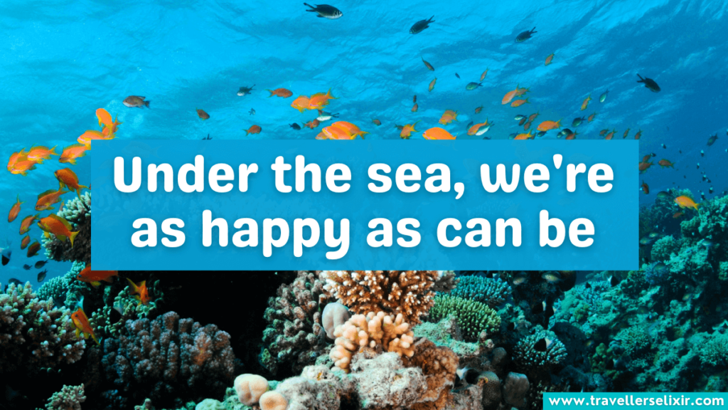 Cute snorkeling Instagram caption - Under the sea, we're as happy as can be.