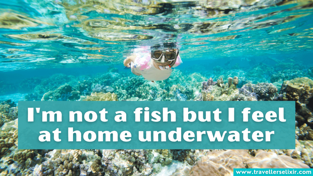 Cute Instagram caption for snorkeling in the ocean - I'm not a fish but I feel at home underwater.