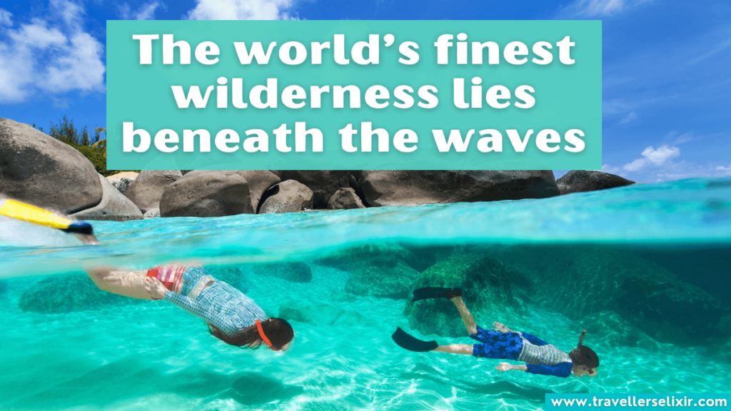 Quote about snorkeling - The world's finest wilderness lies beneath the waves.