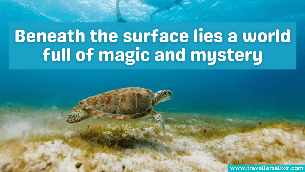 Snorkeling quote - Beneath the surface lies a world full of magic and mystery.