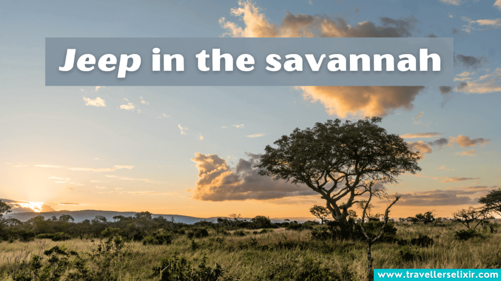 Funny safari Instagram caption - Jeep in the savannah.