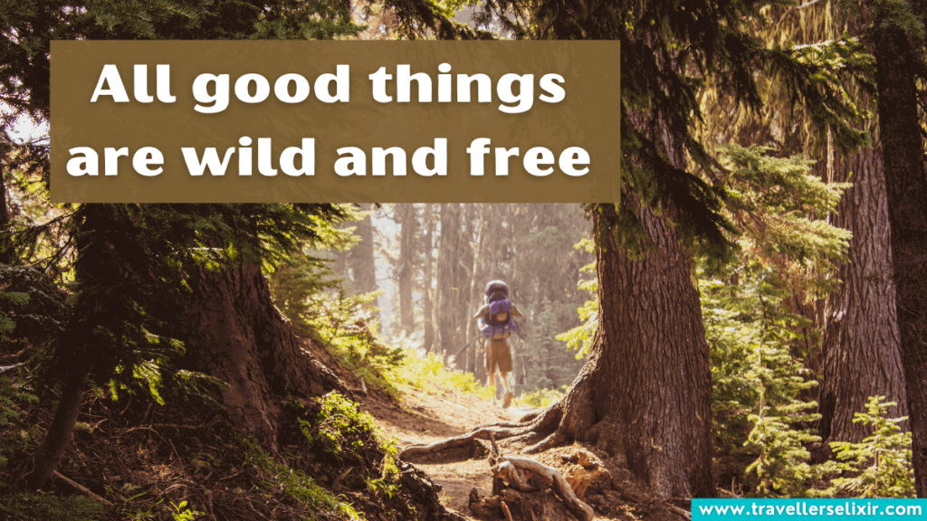 Inspiring hiking Instagram caption - All good things are wild and free.