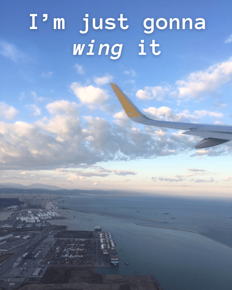 Airplane caption for Instagram - I'm just gonna wing it