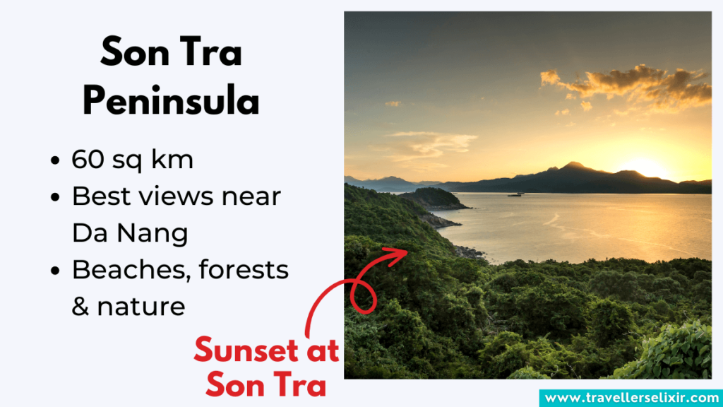 Key things to know about the Son Tra Peninsula.