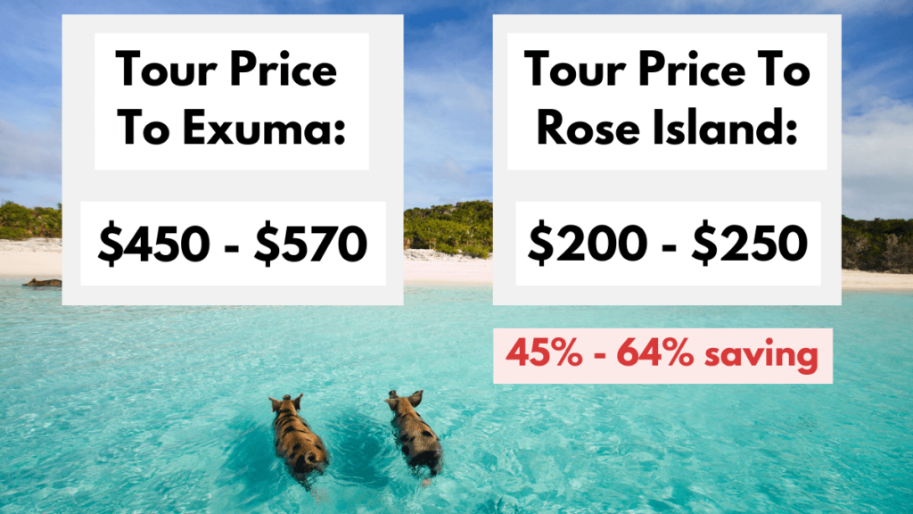 Average cost to swim with pigs in the Bahamas.