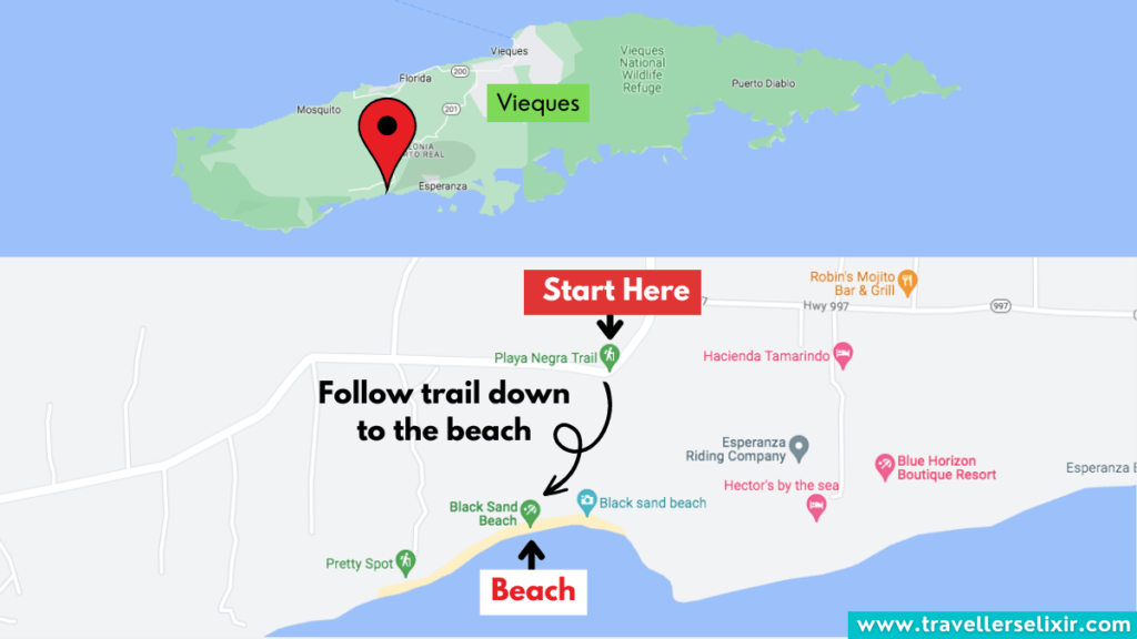 Map of the Playa Negra Trail in Vieques, Puerto Rico.