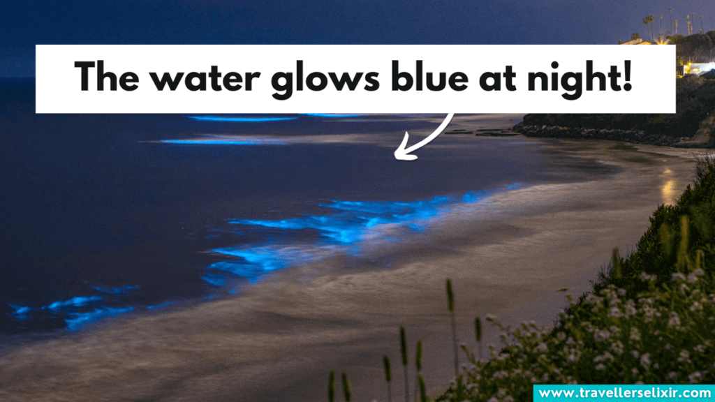 Bioluminescent bay in Puerto Rico.