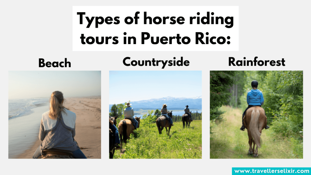 Overview of the types of horse riding tours available in Puerto Rico.
