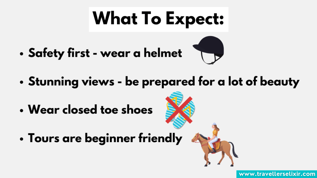 List of things to expect when horse riding in Puerto Rico.