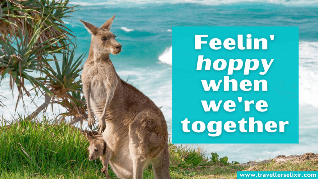 Funny Australia caption - Feelin' hoppy when we're together.