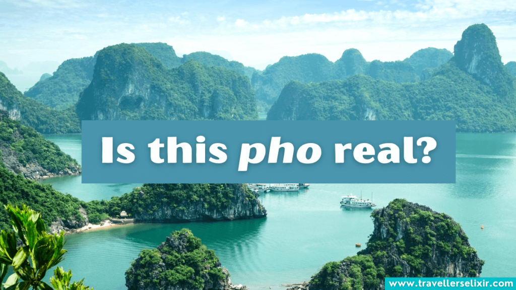 Funny Vietnam pun - Is this pho real?