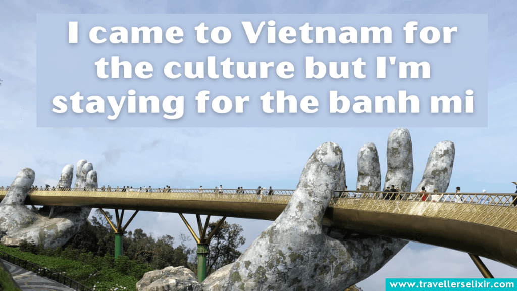 Cute Vietnam caption for Instagram - I came to Vietnam for the culture but I'm staying for the banh mi.