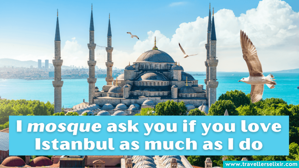 Funny Istanbul pun - I mosque ask you if you love Istanbul as much as I do.