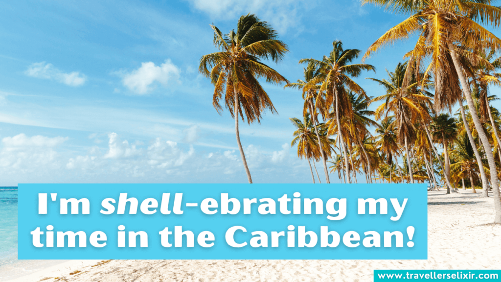 Funny Caribbean pun - I'm shell-ebrating my time in the Caribbean.