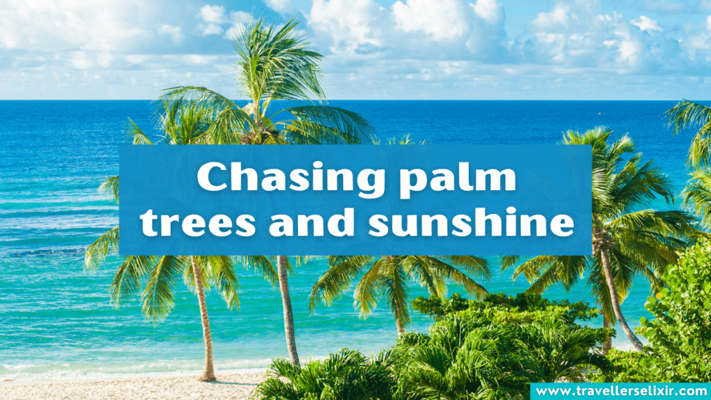 Short Caribbean Instagram caption - Chasing palm trees and sunshine.