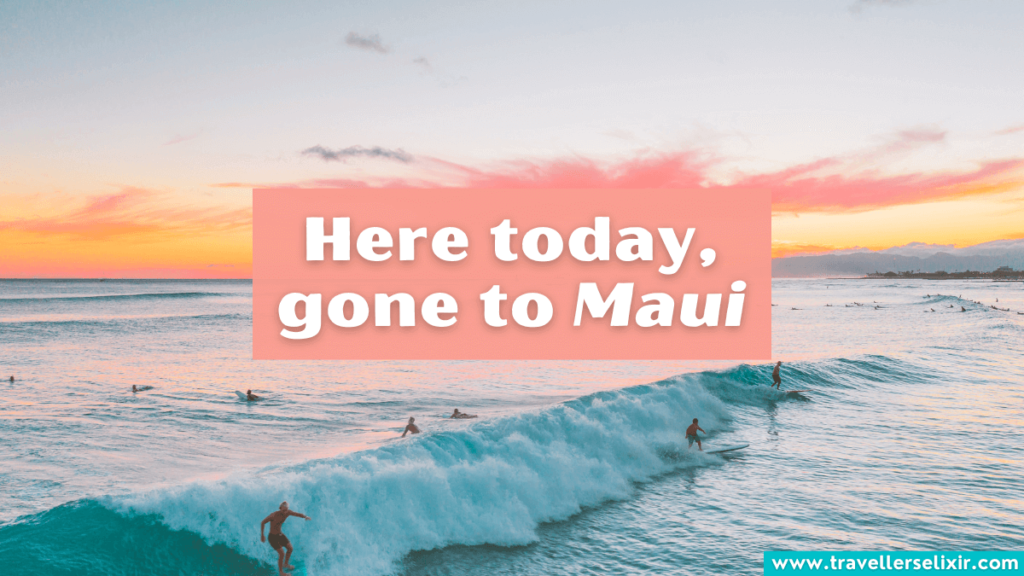 Funny Hawaii pun - Here today, gone to Maui.