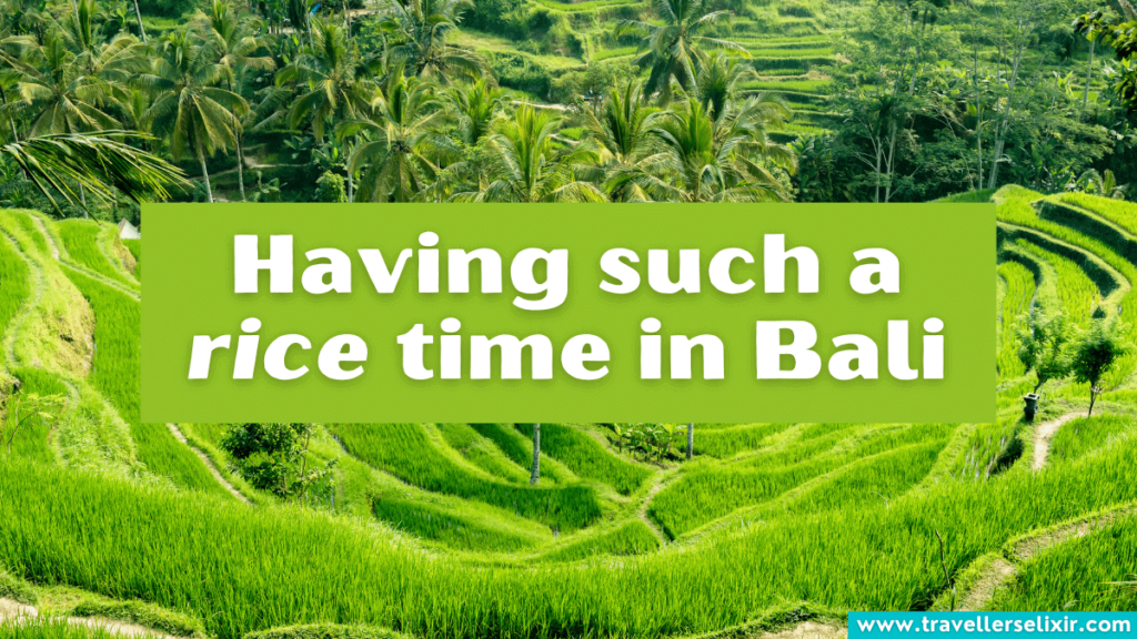 Funny Bali pun - Having such a rice time in Bali.