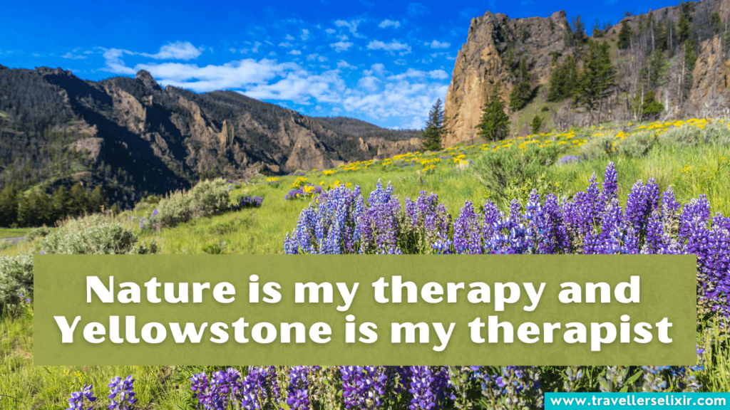 Cute Yellowstone Instagram caption - Nature is my therapy and Yellowstone is my therapist.