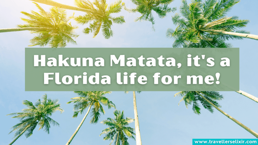 Cute Florida caption for Instagram - Hakuna matata, it's a Florida life for me.