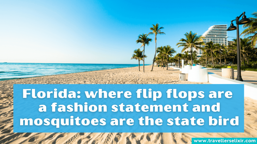 Funny Florida caption for Instagram - Florida: where flip flops are a fashion statement and mosquitoes are the state bird.