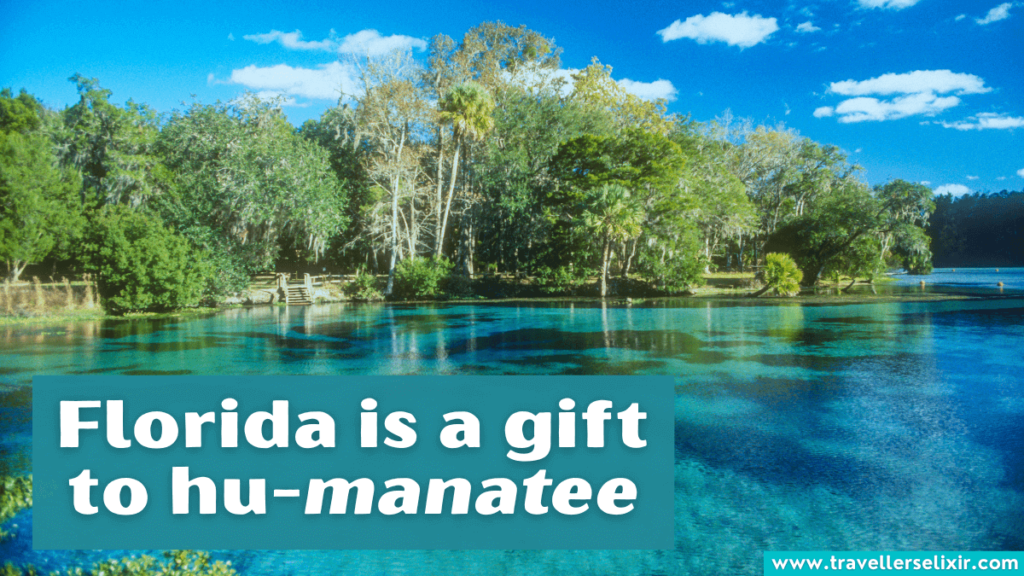 Funny Florida pun - Florida is a gift to hu-manatee.
