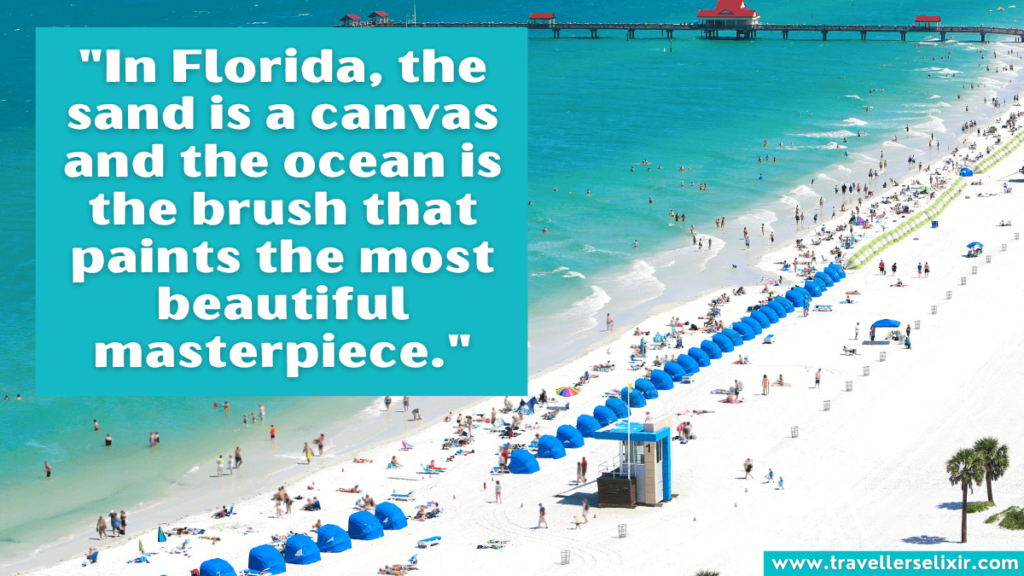 Quote about Florida - In Florida, the sand is a canvas and the ocean is the brush that paints the most beautiful masterpiece.