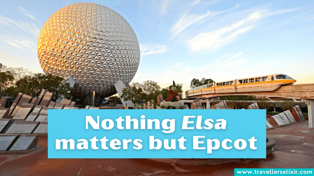 Disney World pun - Nothing Elsa matters but Epcot.