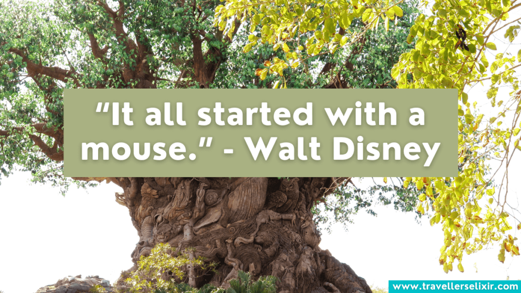 Disney World quote - It all started with a mouse - Walt Disney.