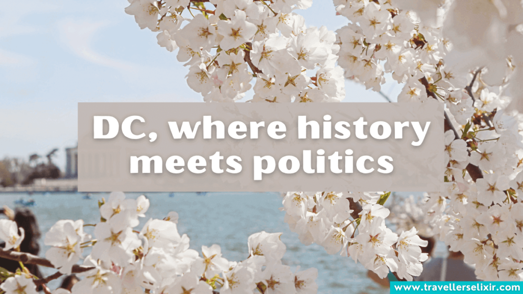 Washington DC caption for Instagram - DC, where history meets politics.
