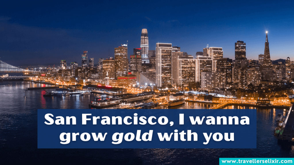 Funny San Francisco pun - San Francisco, I wanna grow gold with you.
